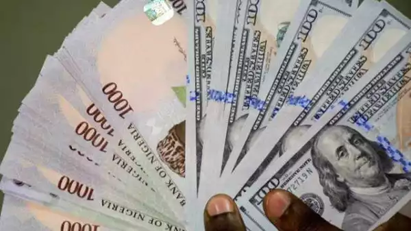 ‘This Naira exchange roller coaster must stop’